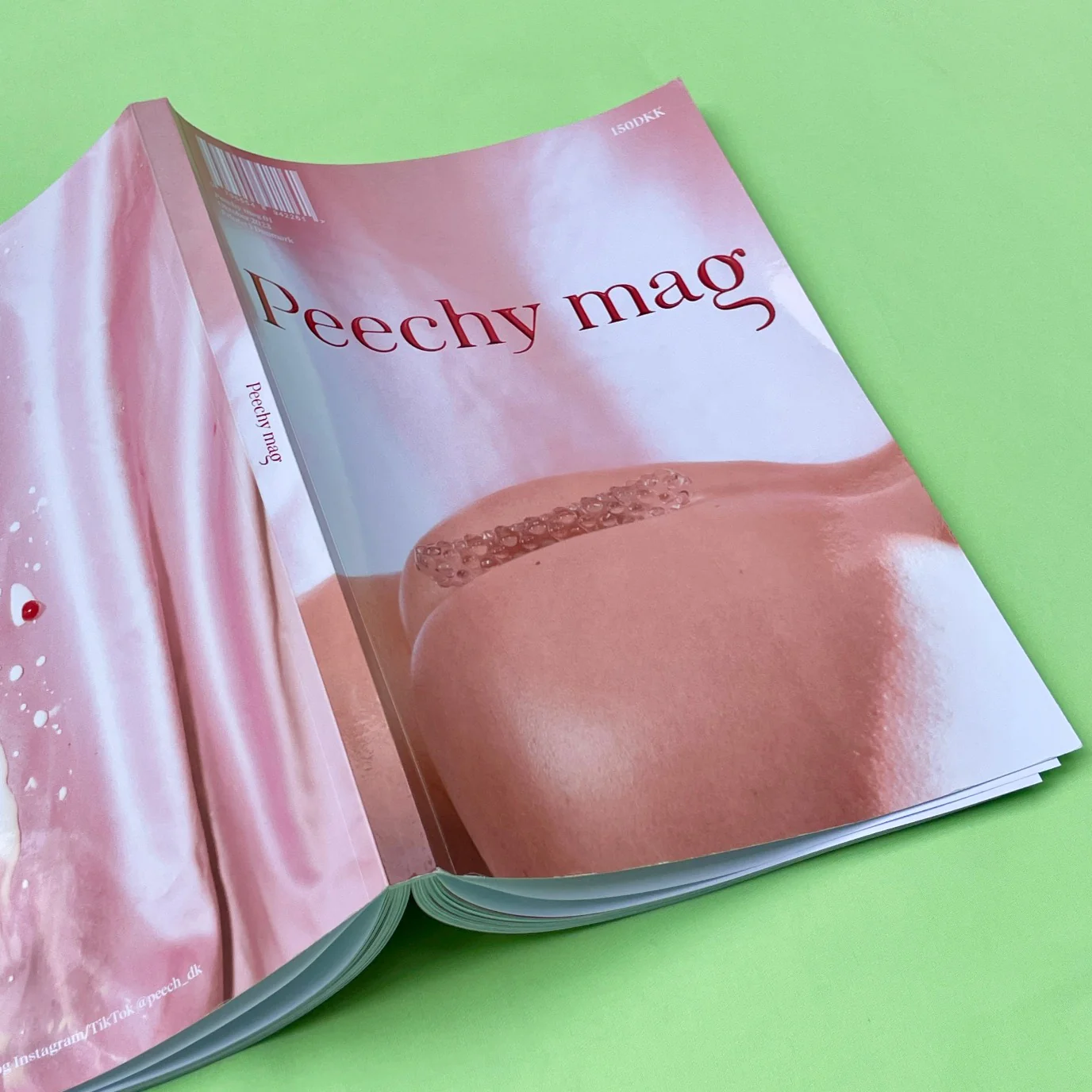 PEECHY MAG VOLUME 1 - Image 4
