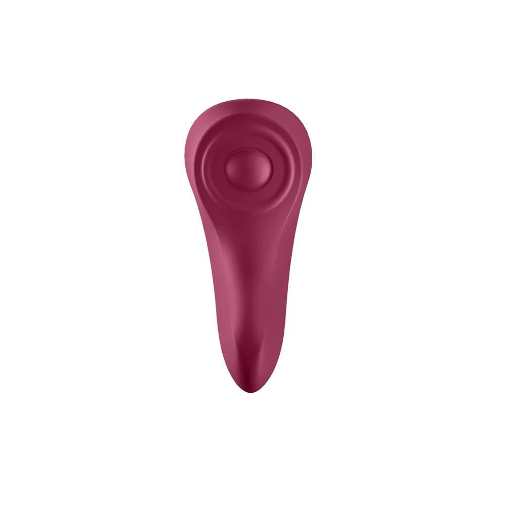 TRUSSE VIBRATOR - Image 4